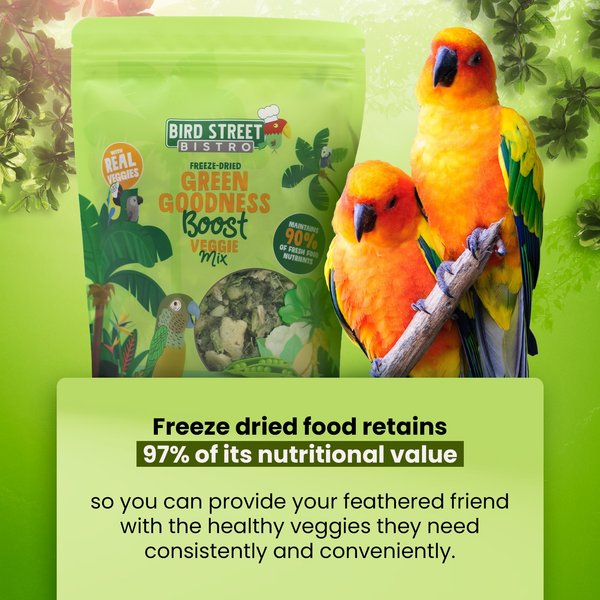Bird Street Bistro Green Goodness Boost Seed-Blends Bird Food, 2-oz bag