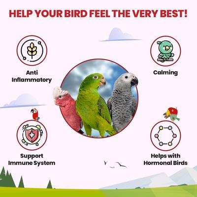 Show full view: Bird Street Bistro Halcyon Parrot Tea, 3-oz bag slide 2 of 6