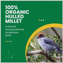 Bird Street Bistro Organic Hulled Millet Bird Seed, 5-lb bag slide 2 of 6