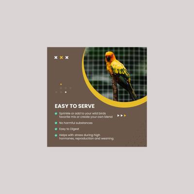 Show full view: Bird Street Bistro Organic Hulled Millet Bird Seed, 5-lb bag slide 5 of 6