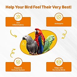 Bird Street Bistro Rising Phoenix Parrot Tea, 12-oz box slide 2 of 4