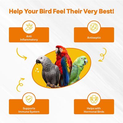 Show full view: Bird Street Bistro Rising Phoenix Parrot Tea, 12-oz box slide 2 of 4