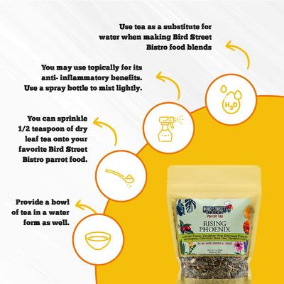 Show full view: Bird Street Bistro Rising Phoenix Parrot Tea, 12-oz box slide 3 of 4