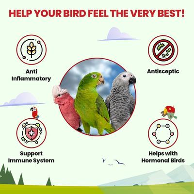 Show full view: Bird Street Bistro Rising Phoenix Parrot Tea, 3-oz bag slide 2 of 9