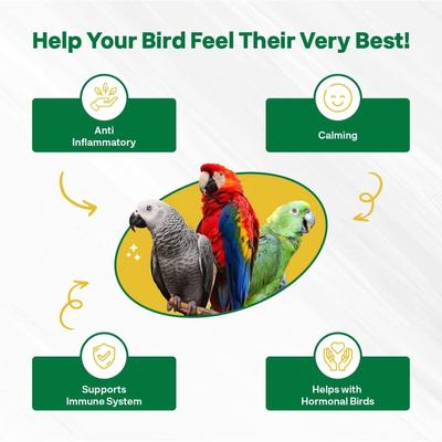 Show full view: Bird Street Bistro Rising Phoenix Parrot Tea, 3-oz bag slide 6 of 9