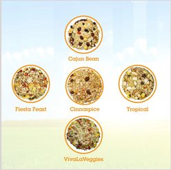 Bird Street Bistro Sample Pack Bird Food, 5 count slide 2 of 6
