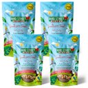 Bird Street Bistro Southern Feast Bird Food, 12-oz, case of 4