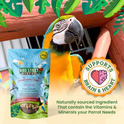 Show full view: Bird Street Bistro Southern Feast Bird Food, 12-oz, case of 4 slide 4 of 8