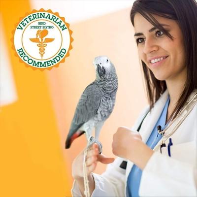 Show full view: Bird Street Bistro Tropical Feast on the Fly Bird Food, 12-oz bag slide 9 of 10