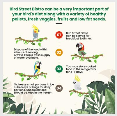 Show full view: Bird Street Bistro Tropical Feast on the Fly Bird Food, 12-oz, case of 4 slide 7 of 8