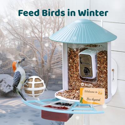 Show full view: Birdfy Netvue Pro Perch Extension with Suet Ball, Mini Hummingbird Jelly Feeder, Fruit Holder, Blue slide 5 of 7
