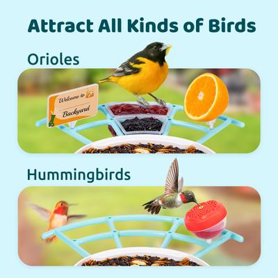 Show full view: Birdfy Netvue Pro Perch Extension with Suet Ball, Mini Hummingbird Jelly Feeder, Fruit Holder, Blue slide 4 of 7