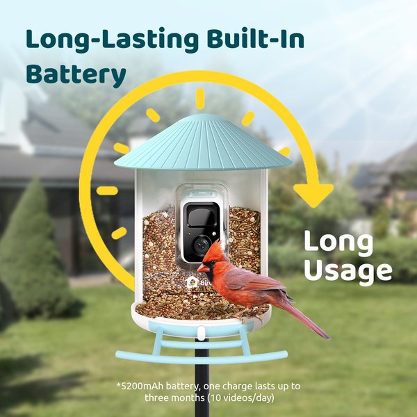 Birdfy Rookie Smart Bird Feeder with Camera, Blue