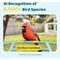 Show in main carousel: Birdfy Smart Bird Feeder Camera Solar Panel & AI Lifetime Free, Blue, 1.5L slide 4 of 10