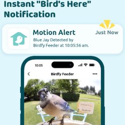 Birdfy Smart Bird Feeder Camera Solar Panel & AI Lifetime Free, Blue, 1.5L slide 2 of 8