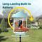 Show in main carousel: Birdfy Smart Bird Feeder Camera Solar Panel & AI Lifetime Free, Blue, 1.5L slide 5 of 10
