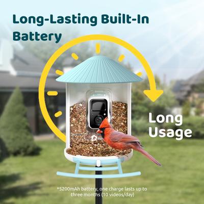 Show full view: Birdfy Smart Bird Feeder Camera Solar Panel & AI Lifetime Free, Blue, 1.5L slide 5 of 10