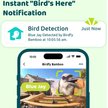 Show in main carousel: Birdfy Bamboo Smart Bird Feeder with Camera AI Lifetime Free Solar Powered Motion Detection, Black, 3.5L slide 2 of 10