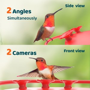 Birdfy Solar Powered Hummingbird Feeder AI Lifetime Free with 2K Dual Smart Cameras, Red, 20-oz