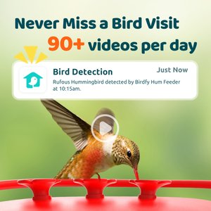 Birdfy Solar Powered Hummingbird Feeder AI Lifetime Free with 2K Dual Smart Cameras, Red, 20-oz