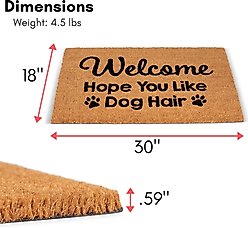 BirdRock Home Dog Hair' Coir Doormat slide 2 of 7