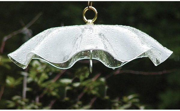 Birds Choice Acrylic Bird Feeder Weatherguard, Clear, 13-in