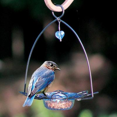 Show full view: Birds Choice Bluebird Flower Cup for Dried Fruit & Mealworms Bird Feeder, Blue, 3-oz slide 6 of 7