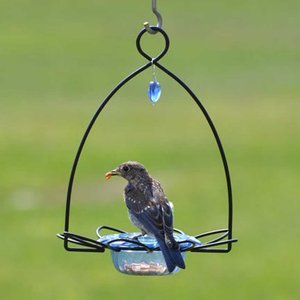 Birds Choice Bluebird Flower Cup for Dried Fruit & Mealworms Bird Feeder, Blue, 3-oz