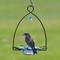 Show in main carousel: Birds Choice Bluebird Flower Cup for Dried Fruit & Mealworms Bird Feeder, Blue, 3-oz slide 5 of 7