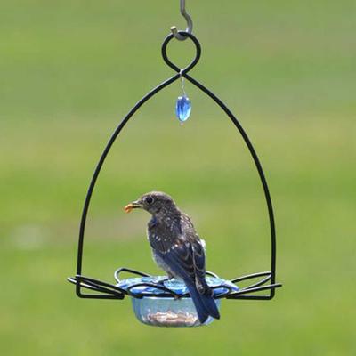 Show full view: Birds Choice Bluebird Flower Cup for Dried Fruit & Mealworms Bird Feeder, Blue, 3-oz slide 5 of 7