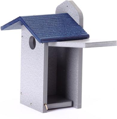 Show full view: Birds Choice Bluebird House, Gray & Blue, Medium slide 4 of 10