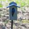 Show in main carousel: Birds Choice Bluebird House, Gray & Blue, Medium slide 9 of 10