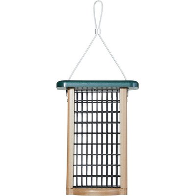 Birds Choice Birds Choice Double Cake Suet Bird Feeder, Green, Small