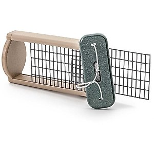 Birds Choice Double Cake Suet Bird Feeder, Green, Small