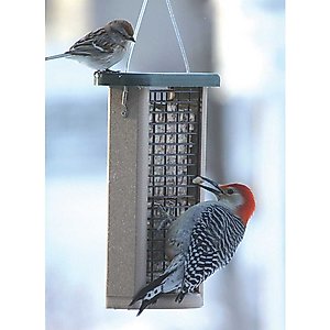 Birds Choice Double Cake Suet Bird Feeder, Green, Small