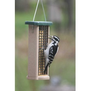Birds Choice Double Cake Suet Bird Feeder, Green, Small