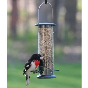 Birds Choice Economy Tube Bird Feeder, 2 ports