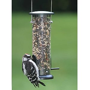 Birds Choice Economy Tube Bird Feeder, 2 ports