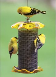 Birds Choice Forever Nyjer with Stainless Steel Screen Bird Feeder, Yellow, Small slide 2 of 4