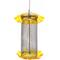 Show in main carousel: Birds Choice Forever Nyjer with Stainless Steel Screen Bird Feeder, Yellow, Small slide 2 of 4