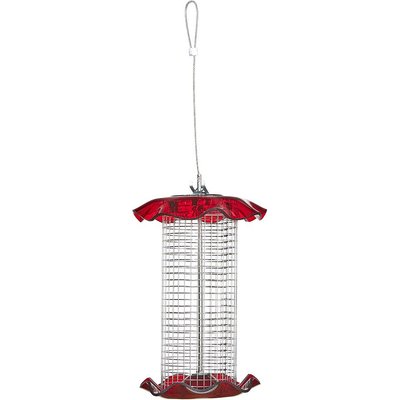 Birds Choice Birds Choice Forever Sunflower with Stainless Steel Screen Bird Feeder, Red, Small