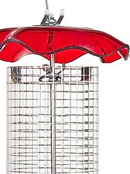Birds Choice Forever Sunflower with Stainless Steel Screen Bird Feeder, Red, Small slide 2 of 4