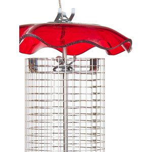 Birds Choice Forever Sunflower with Stainless Steel Screen Bird Feeder, Red, Small