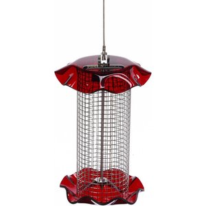 Birds Choice Forever Sunflower with Stainless Steel Screen Bird Feeder, Red, Small