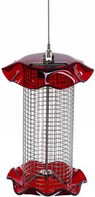 Show full view: Birds Choice Forever Sunflower with Stainless Steel Screen Bird Feeder, Red, Small slide 3 of 6