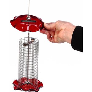 Birds Choice Forever Sunflower with Stainless Steel Screen Bird Feeder, Red, Small