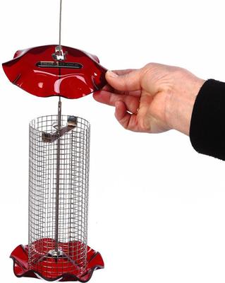 Show full view: Birds Choice Forever Sunflower with Stainless Steel Screen Bird Feeder, Red, Small slide 4 of 6