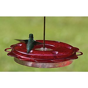 Birds Choice Hummerfest Feeder, Red, 12-oz