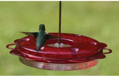 Show full view: Birds Choice Hummerfest Feeder, Red, 12-oz slide 7 of 10