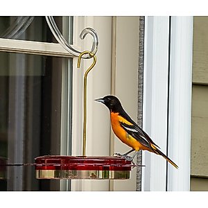 Birds Choice Hummerfest Feeder, Red, 12-oz